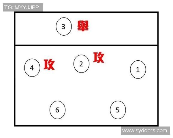 重庆排球队速度对比深度解析及战术影响探讨
